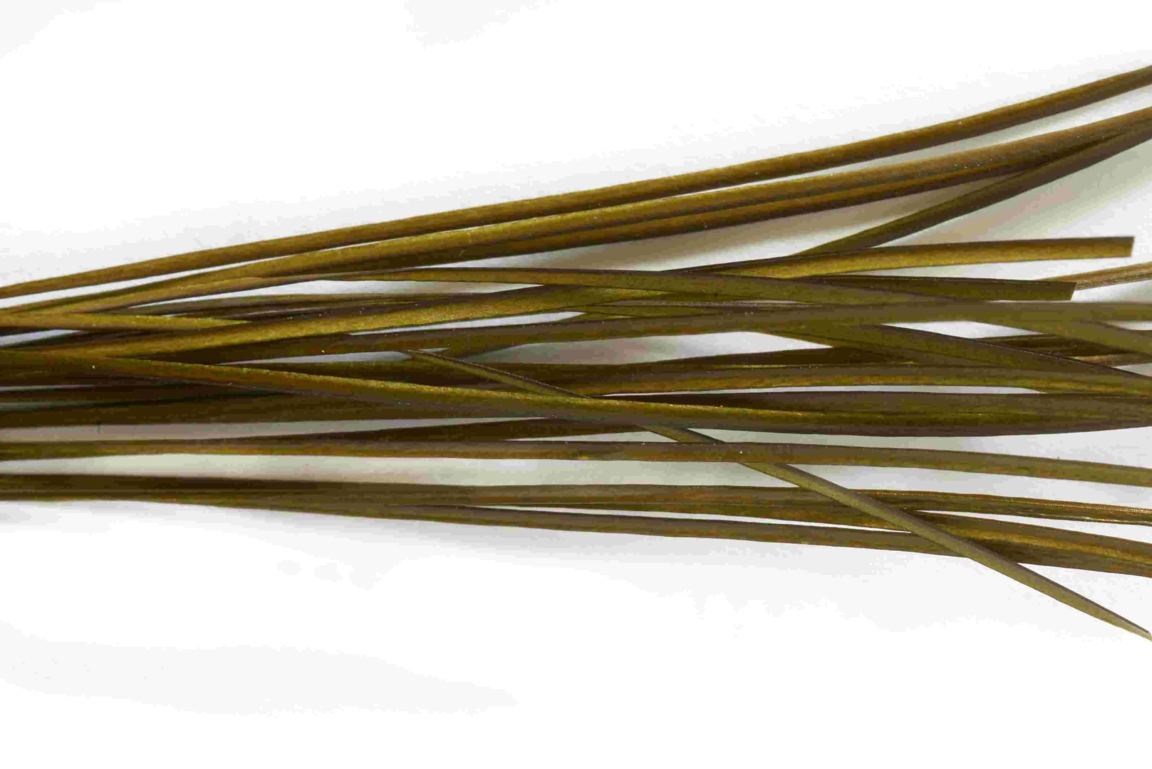Stripped Quills - Fulling Mill