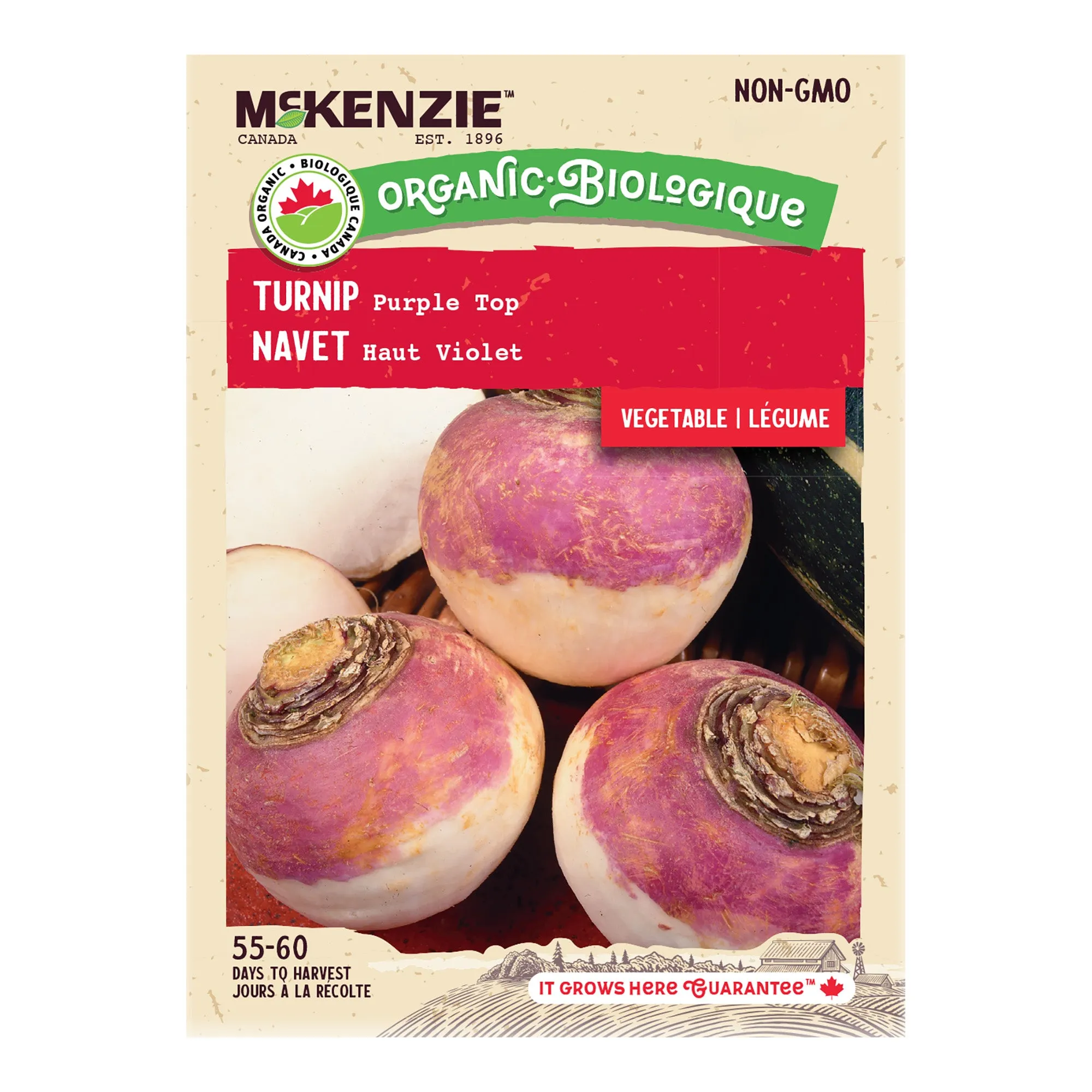 Turnip, Purple Top White Globe Organic Seeds